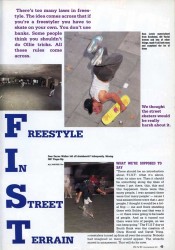 Freestyle in Stree Terrain -- skateboarding in transition
